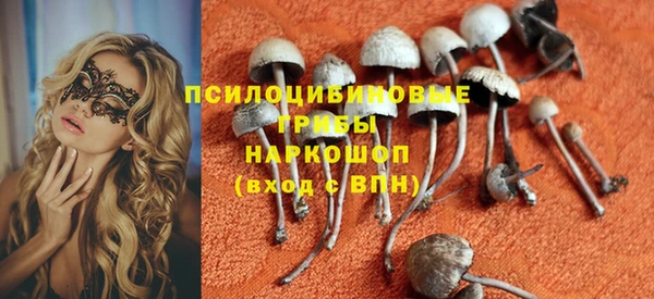 МДМА Богородицк