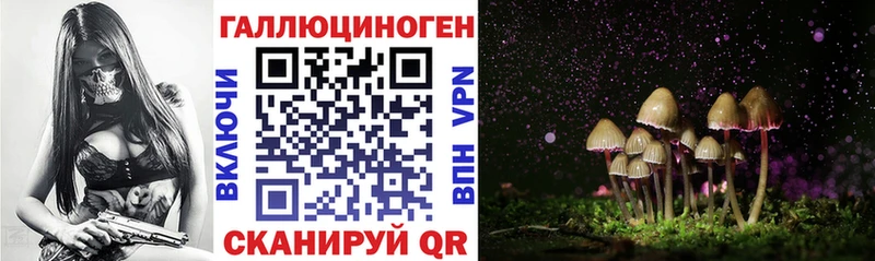 Галлюциногенные грибы Cubensis  Купить  Спасск-Рязанский 